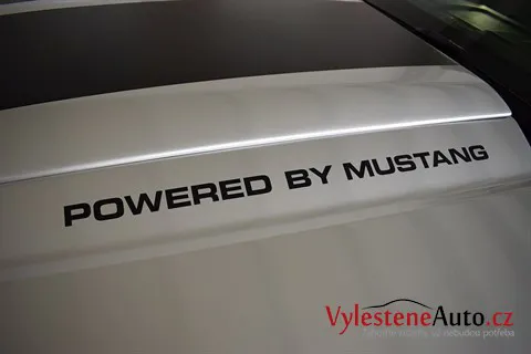 Ford Mustang 3.7 V6 - Renovace a ochrana laku