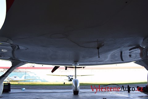 Dynamic WT9
