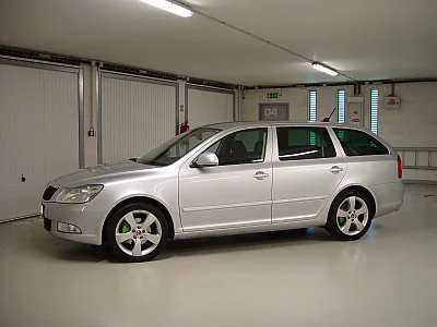 Profesionální leštění automobilů - detail 18