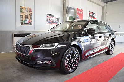 Zimní ochrana laku - detail 3